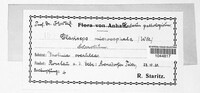 Claviceps purpurea image